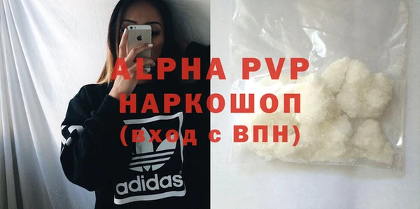 индика Бронницы